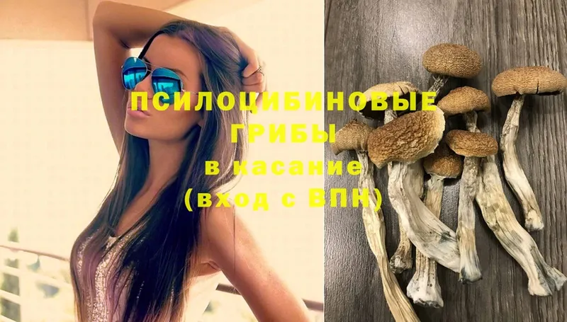 Псилоцибиновые грибы Magic Shrooms  гидра как войти  Биробиджан 