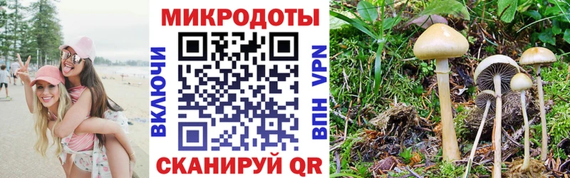 Галлюциногенные грибы GOLDEN TEACHER  Биробиджан 