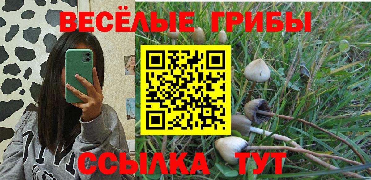 Альфа ПВП Биробиджан