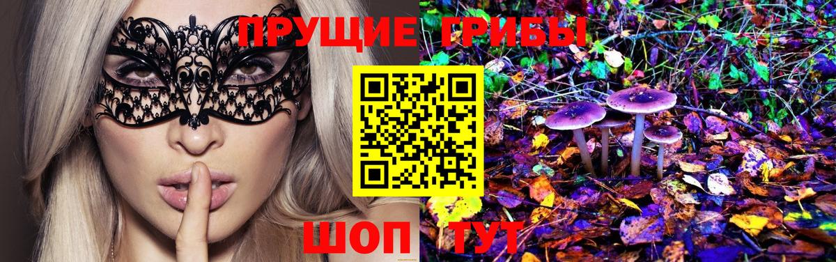 Псилоцибиновые грибы GOLDEN TEACHER Биробиджан